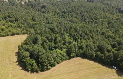 Mount Carmel Road, Prentiss, MS 39474