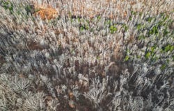 Lot 59 Rustic Valley Dr, Waverly, TN 37185
