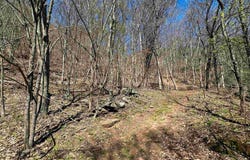 TBD MOUNTAIN LAKE Road, Newport, VA 24128