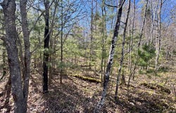 DEER TR lot: 2A, Eagle River, WI 54521