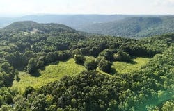 536 Ted Brooks Rd, Jamestown, TN 38556