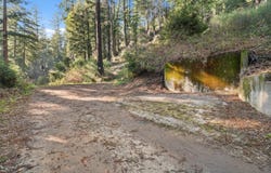 160 Starview PL, BOULDER CREEK, CA 95006