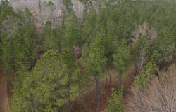 Lapile Road, Strong, AR 71765