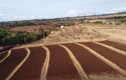 Omaopio Rd, Kula, HI 96790