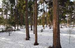 Long Trail Rd, Black Hawk, CO 80422