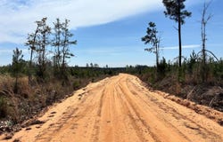 Cr 421, Quitman, MS 39355