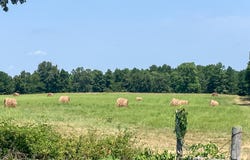5829 County Road 464, Birch Tree, MO 65438