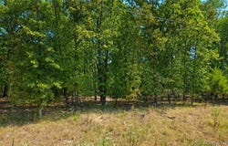 Santee Trail, Camdenton, MO 65020