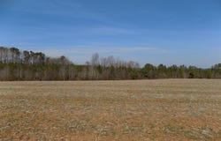 Sutton Road, Louisburg, NC 27549