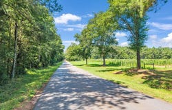 336 Piney Grove Road, Comer, GA 30629