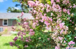 2004 Cypress Rd, Florence, SC 29505