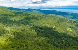 NHN Peach Park Loop, Rollins, MT 59931
