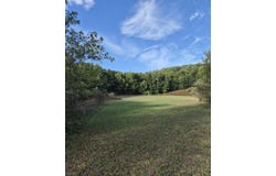 Adamson Lake Road, Kaleva, MI 49645