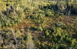 19TH LN, Escanaba, MI 49829
