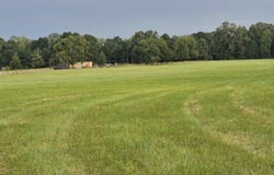 Sheridan, AR 72150