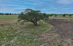 2077 E State Hwy 237, Round Top, TX 78954