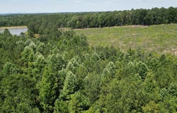 10 COUNTY ROAD 331 lot: 1, MAPLESVILLE, AL 36750