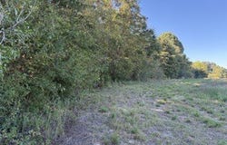 1513 CR-368, Section, AL 35771
