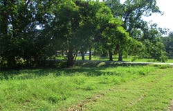 809 E 7th Street, Bonham, TX 75418