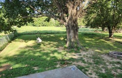 1507 North N Riverside Road, Ozark, MO 65721