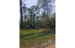 EAST Parkway, DELAND, FL 32724