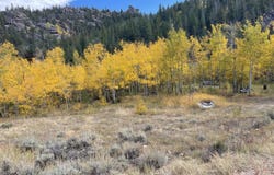 53 Ada Ct, Red Feather Lakes, CO 80545