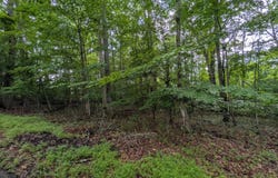 SE Circle Drive, Wise, VA 24293