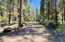 33117 Sites Road, Shingletown, CA 96088