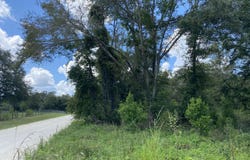 McAlpin, FL 32062