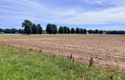 0005 Thorn Road, Jasper, MO 64755