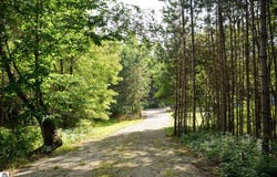 11241 Marilla Road, Copemish, MI 49625