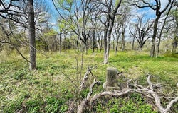County Road 495, Chilton, TX 76632