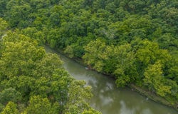 Hoot Owl Trail, Lebanon, MO 65536