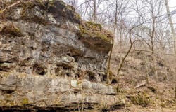 CR 19-A, Alton, MO 65606