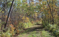 Woods Road, Isle, MN 56342