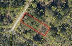 Bedstone Drive, Webster, FL 33597