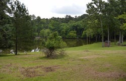 2335 Rolling Hills Road, Ridgeway, SC 29130