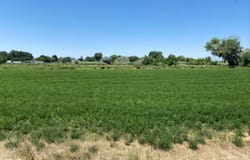 900 Calkin Road, Fallon, NV 89406