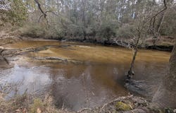 Plantation Lane lot: 9, DeFuniak Springs, FL 32433