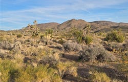 329-08-243 W Inyo Drive, White Hills, AZ 86445