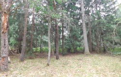 2906 E M-72, Grayling, MI 49738
