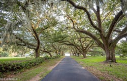 Pointe Aux Chenes lot: 8, Ocean Springs, MS 39564