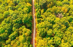 Raysville Rd, Ray, OH 45672