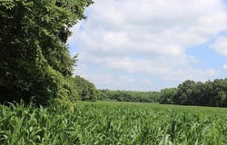 DORSE Rd, Unincorporated, TN 38057