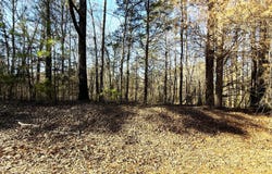 Lot 25 Burch Timbers, Fulton, MS 38843