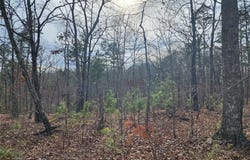 Wayne County Road 434, Piedmont, MO 63957