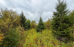 360th Street, Onamia, MN 56359