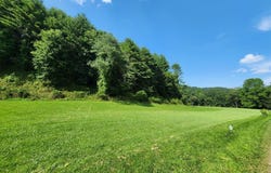 Gambetta Rd. lot: 11, Galax, VA 24333