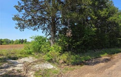 Cr-4240, Simms, TX 75574