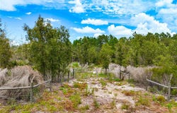NE 56TH Street, BRONSON, FL 32621